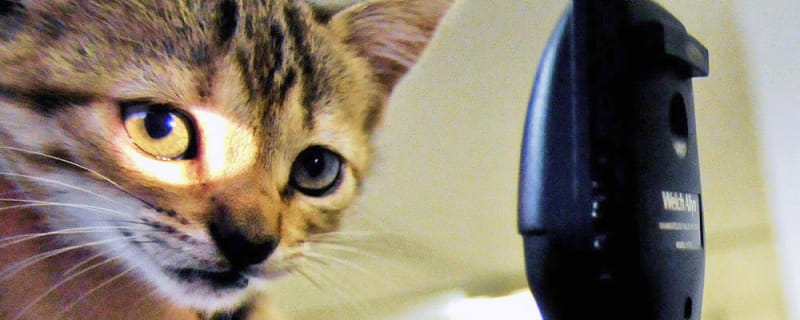 Conheça mais sobre a nossa especialidade