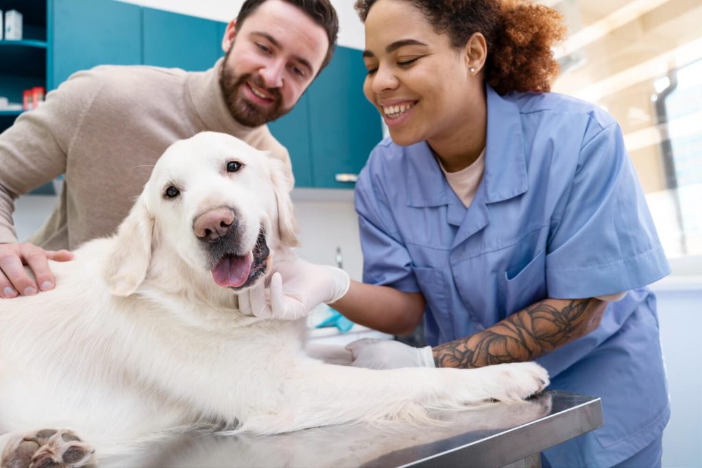 Clínica veterinária em Aricanduva