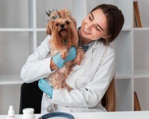 Quando Fazer o Primeiro Check-up Odontológico do seu Cachorro?