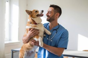 glaucoma-em-pets-diagnostico-rapido-e-tratamento-especializado-na-zona-leste